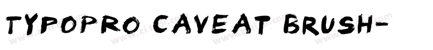 TypoPRO Caveat Brush字体转换